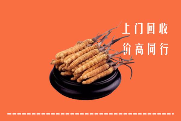 高价求购：平顺县回收散虫草